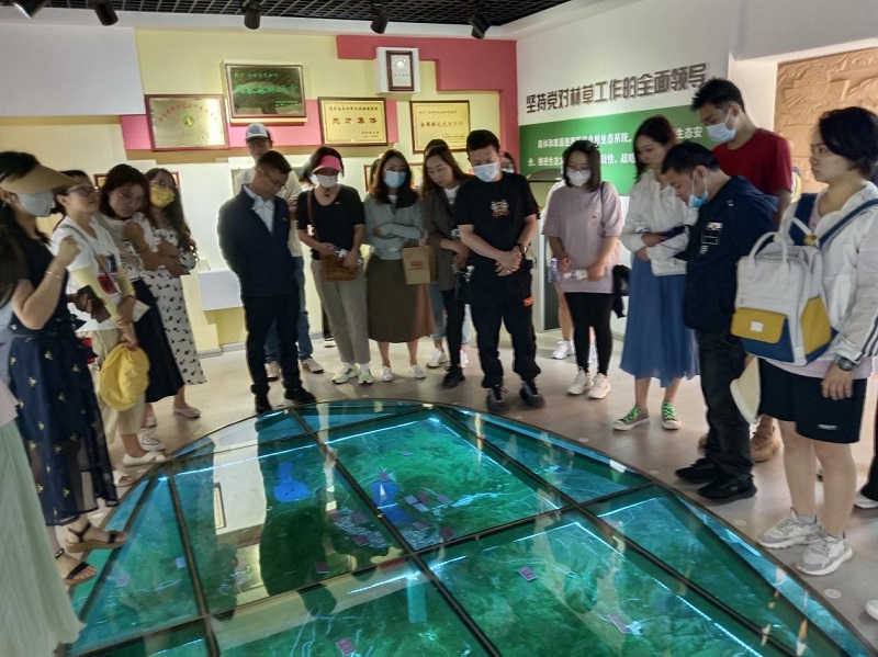 1684225231153283.jpg 图片33.jpg