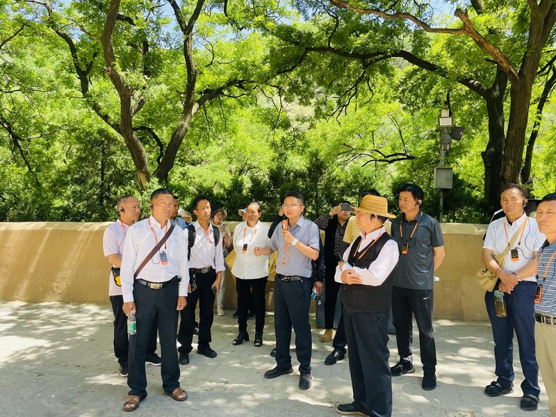 1686819132190630.jpg 9.jpg